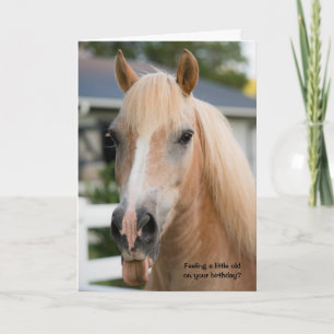 Funny Horse Birthday Card über Alt werden Karte
