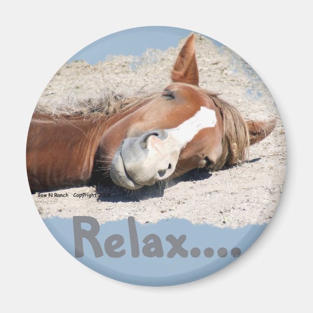 Funny Horse: Entspannen Magnet (Vorne)
