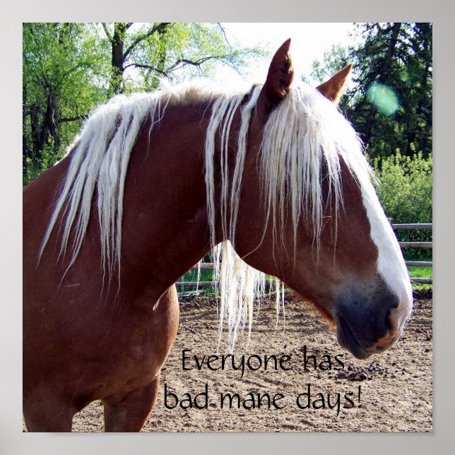 Funny Horse "Every has Bad Mane Days" Poster (Vorne)