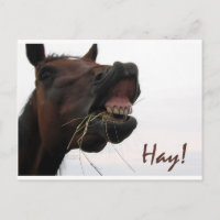 Funny Horse: Hay!