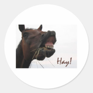 Funny Horse: Hay! Runder Aufkleber