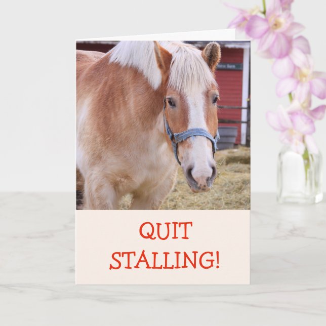 Funny Horse Joke Pub bekommen Well Card Karte (Orchidee)
