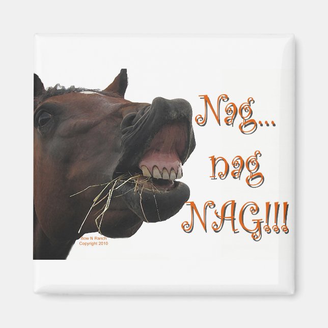 Funny Horse: Nag, nag, nag Magnet (Vorne)
