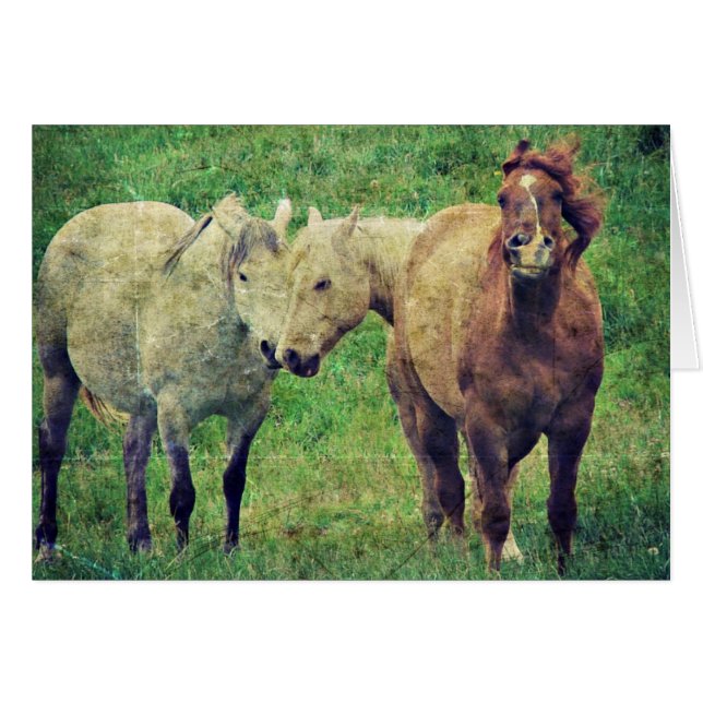 Funny Horses (Vorderseite (Horizontal))