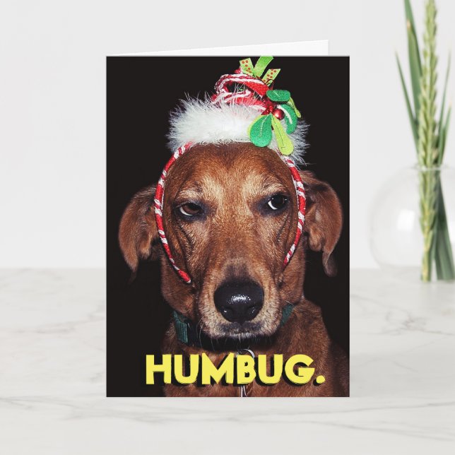 Funny HUMBUG Hund Weihnachtskarte Feiertagskarte (Vorderseite)