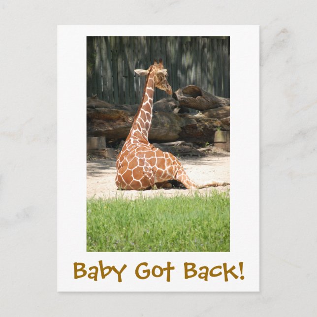 Funny Humour Postkarte (Vorderseite)