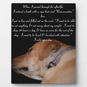Funny Humour Sleeping Labrador Retriever Fotoplatte