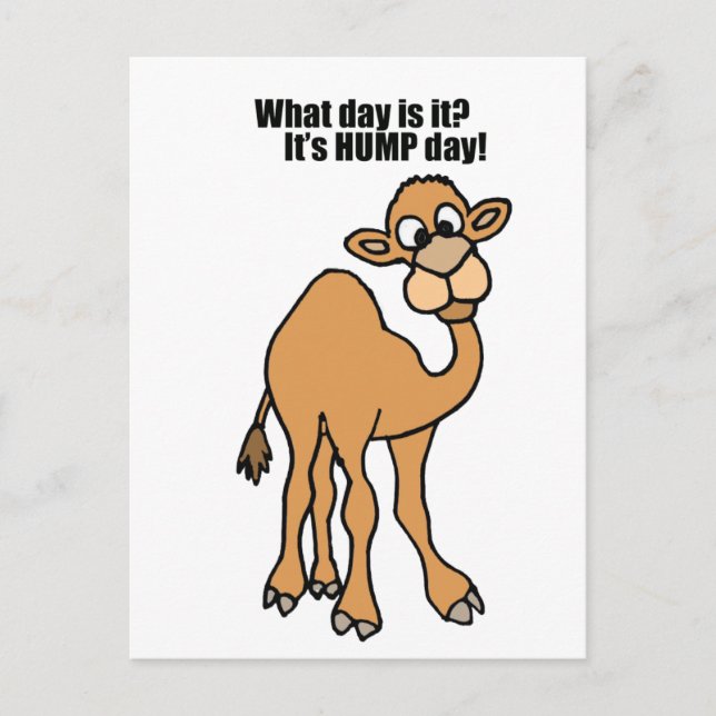 Funny Hump Day Camel Art Postkarte (Vorderseite)