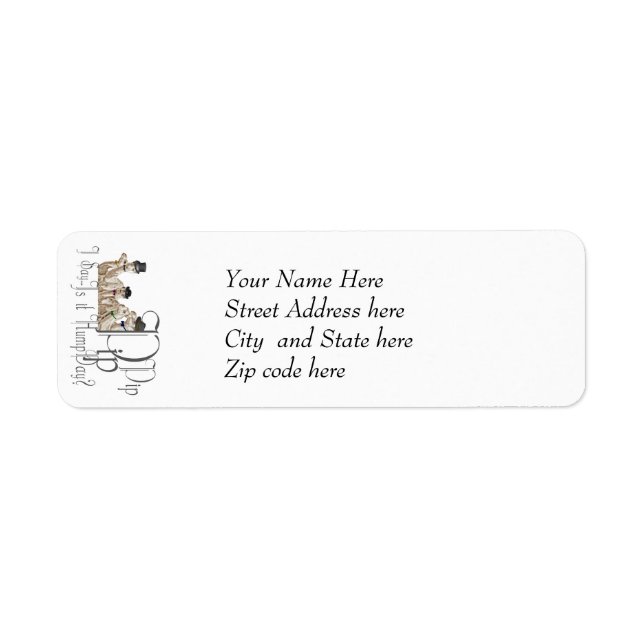 Funny Hump Day Camels in Monocles (Vorne)