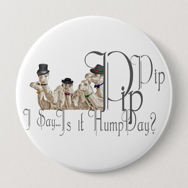 Funny Hump Day Camels in Monocles Button (Vorderseite)
