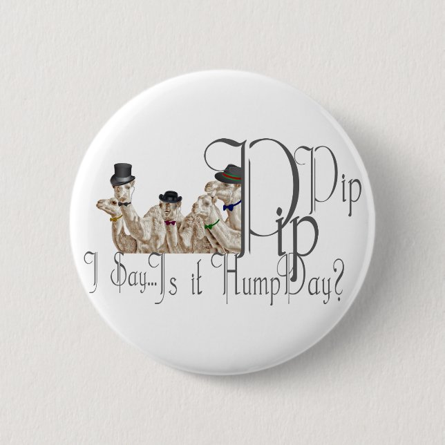 Funny Hump Day Camels in Monocles Button (Vorderseite)
