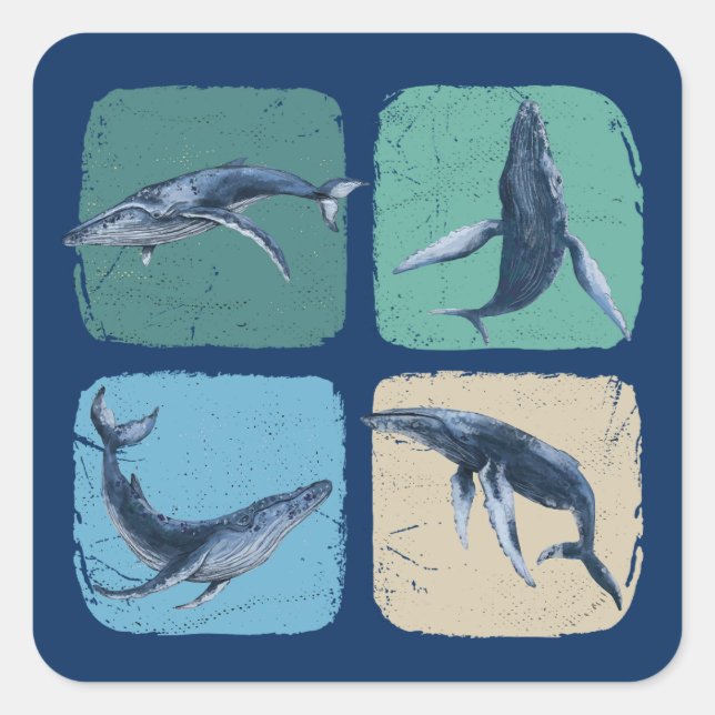 Funny Humpback Whale Watching Quadratischer Aufkleber (Vorderseite)