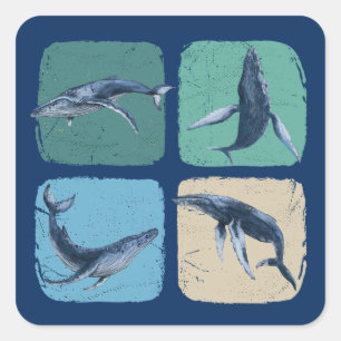 Funny Humpback Whale Watching Quadratischer Aufkleber