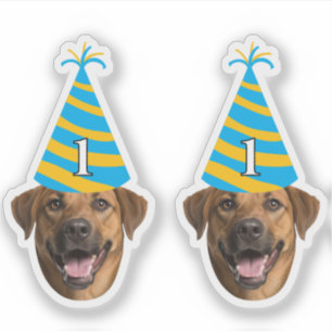 Funny Hund Geburtstagsticker - Custom Face & Age Aufkleber