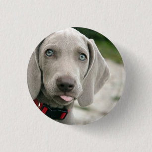 Funny Hund klebt Zunge-Out-Foto Button