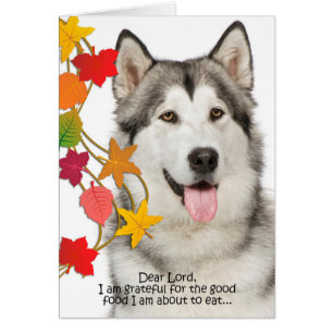 Funny Husky Erntedank Card