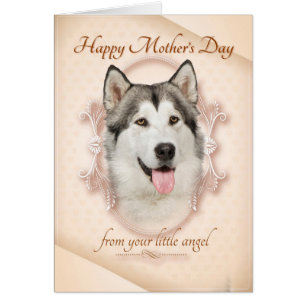 Funny Husky Mother's Day Card