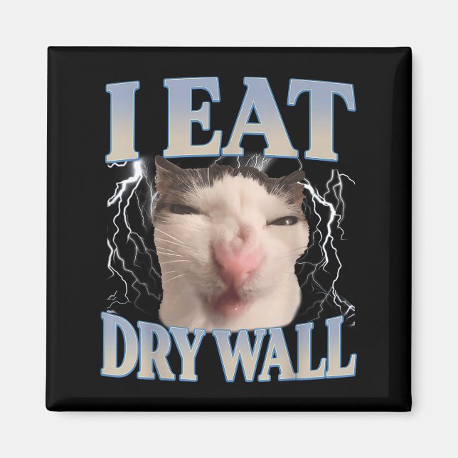 Funny I Eat Dry Wall Silly Cat Meme Men Women Kids Magnet (Vorne)