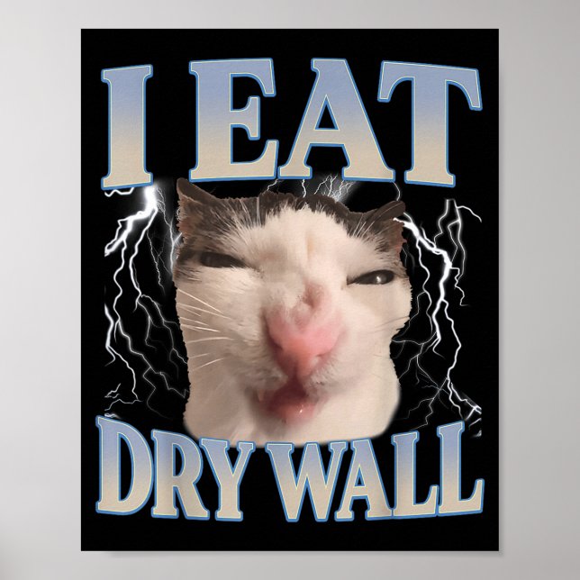 Funny I Eat Dry Wall Silly Cat Meme Men Women Kids Poster (Vorne)