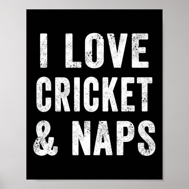 Funny I Love Cricket And Naps Bearded Cricket Dad  Poster (Vorne)