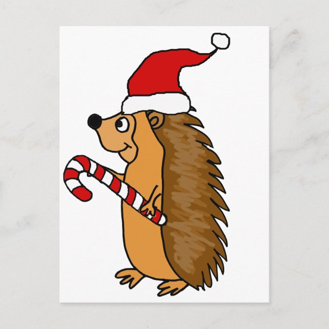 Funny Igel in der Weihnachtsmannmütze Weihnachten  (Vorderseite)