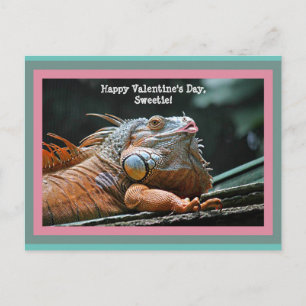 Funny Iguana Valentine Postkarte