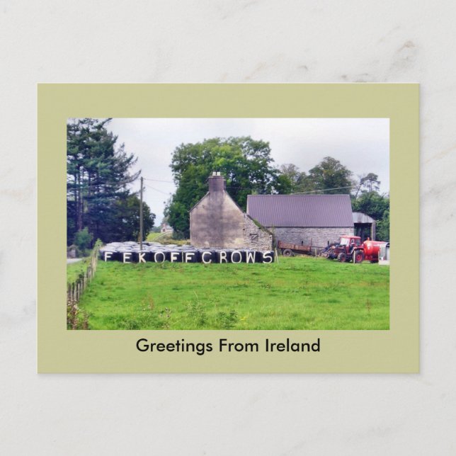 Funny Irish Scarecrow Postcard Postkarte (Vorderseite)