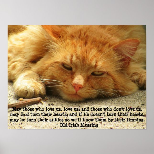 Funny Irish Segen mit Smilly Kitty Poster (Vorne)