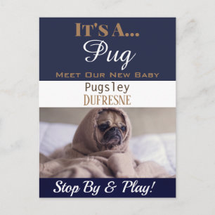 Funny "It's A" - neue Haustierankündigung Postkarte