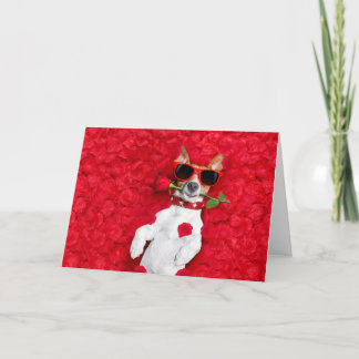 Funny Jack Russel Dog Valentinstag Card Feiertagskarte