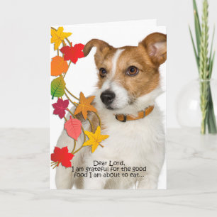 Funny Jack Russell Erntedank Card Feiertagskarte