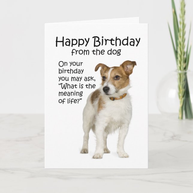 Funny Jack Russell Terrier Birthday Card Karte (Vorderseite)