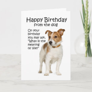 Funny Jack Russell Terrier Birthday Card Karte