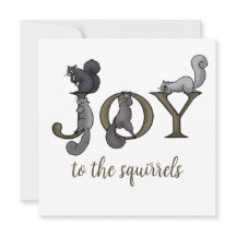 Funny Joy to the Squirrels Foto