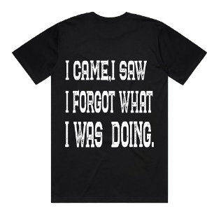 Funny kam ich sah Zitat Sarcastic vergessenes Shir T-Shirt
