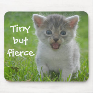 Funny Kitten Caption Tiny aber Fierce Mousepad
