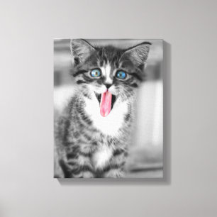 Funny Kitten Leinwanddruck