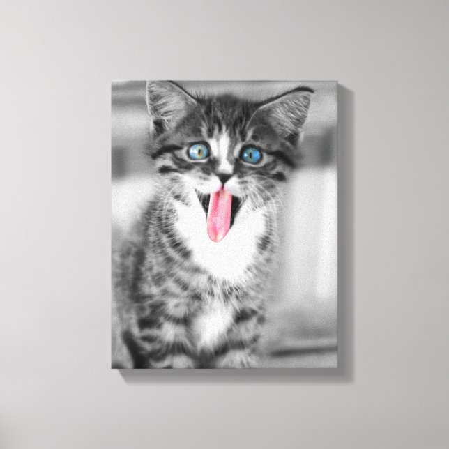 Funny Kitten Leinwanddruck (Vorderseite)