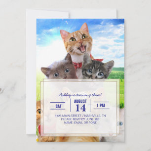 Funny Kittens auf grünem Feld. Einladung