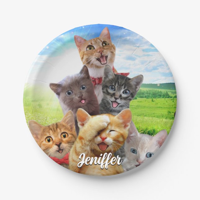 Funny Kittens auf grünem Feld. Pappteller (Vorderseite)