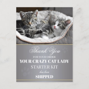 Funny Kittens Geburtstag Postcard Postkarte