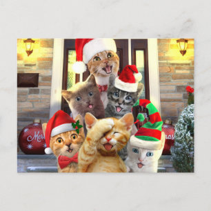 Funny kittens in Christmas Day Postkarte