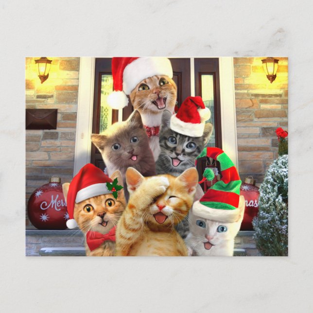 Funny kittens in Christmas Day Postkarte (Vorderseite)