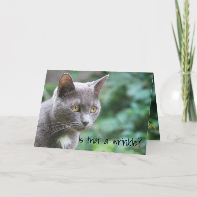 Funny Kitty Cat Karte (Vorderseite)