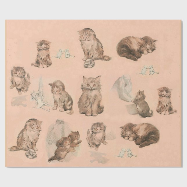 FUNNY KITTY CAT STORIES IN PINK GESCHENKPAPIER (Flach)