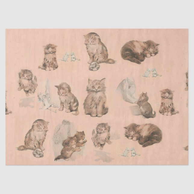 FUNNY KITTY CAT STORIES IN PINK SEIDENPAPIER (Vorderseite)