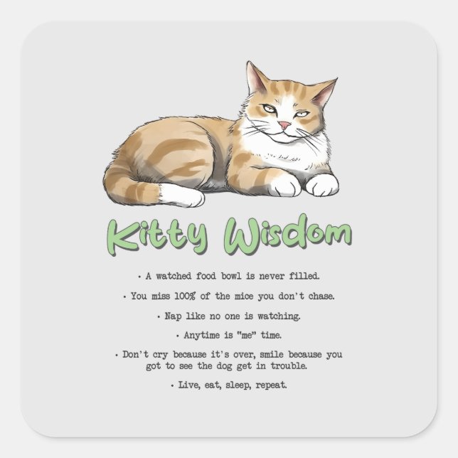 Funny Kitty Wisdom Quadratischer Aufkleber (Vorderseite)