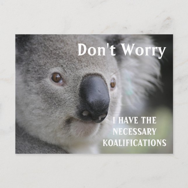 Funny Koala koalifications meme Postkarte (Vorderseite)