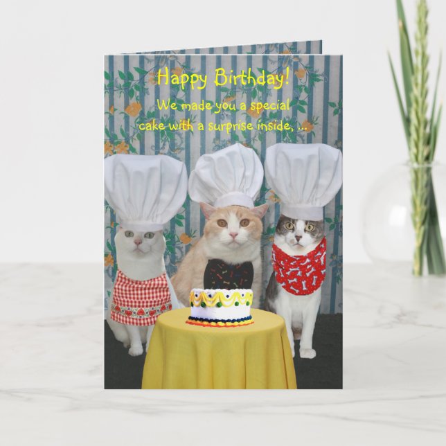 Funny Koch Cats Geburtstag Karte (Vorderseite)
