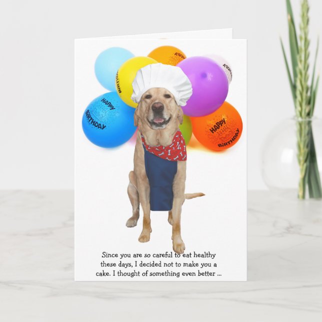 Funny Koch Hund/Labrador Geburtstag Karte (Vorderseite)